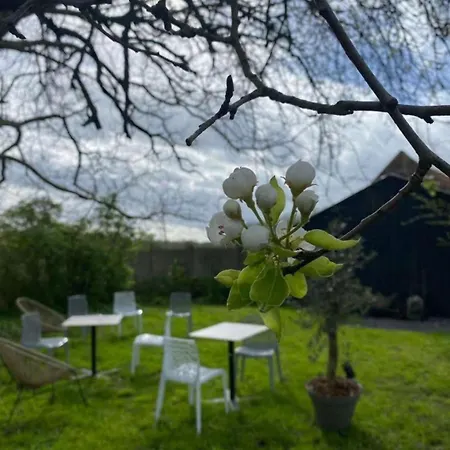 Bed and Breakfast Cosy