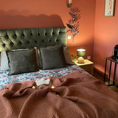 Cosy *